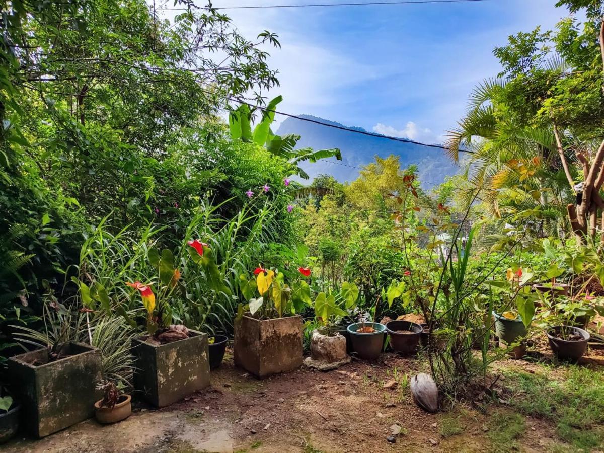 Eden View Ella - Tour Options In The Area Hotel Ngoại thất bức ảnh